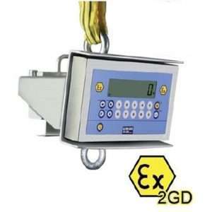 Atex Crane Scale