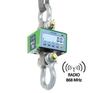 Crane Scale