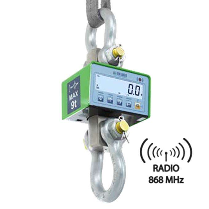 Crane Scale